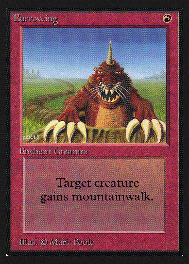 Burrowing (IED-) - Intl. Collectors' Edition