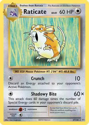 Raticate 067/108 - XY  Evolutions Reverse Holofoil