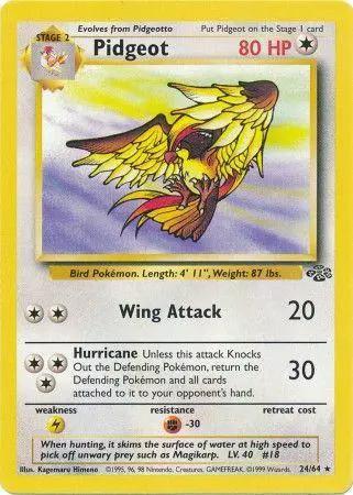 Pidgeot 024/64 - Jungle Unlimited