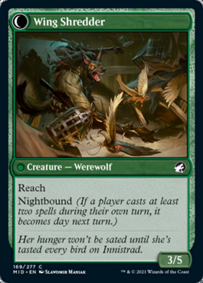 Bird Admirer // Wing Shredder (MID-169) - Innistrad: Midnight Hunt: (Double Faced Transform)