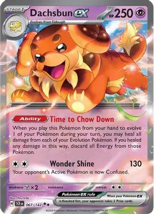 Dachsbun ex 067/142 - SV07 Stellar Crown Holofoil