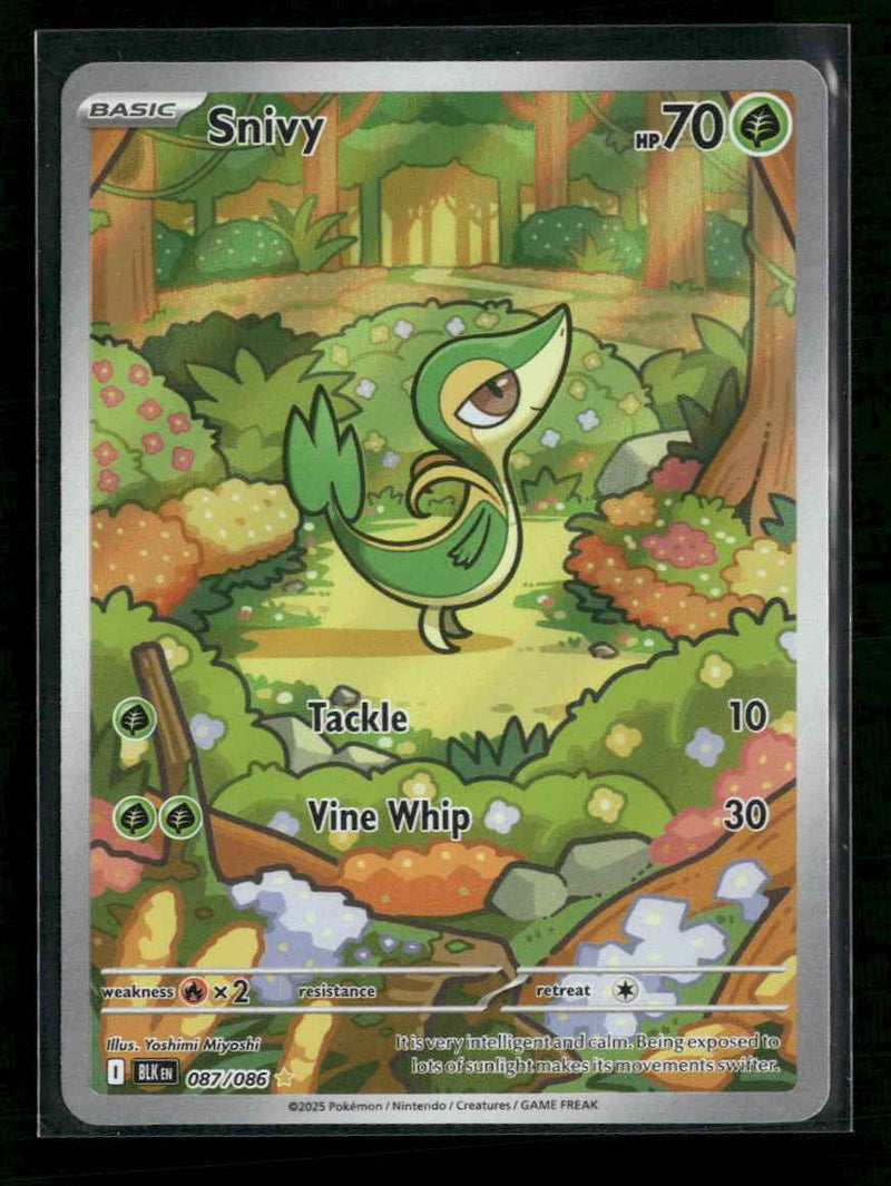 SV: Black Bolt Snivy #087/086