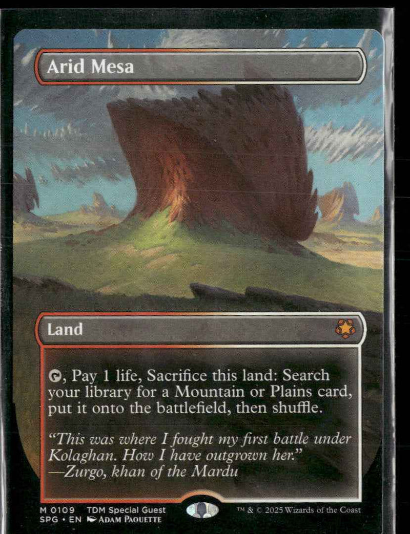 Special Guests Arid Mesa (Borderless) #109
