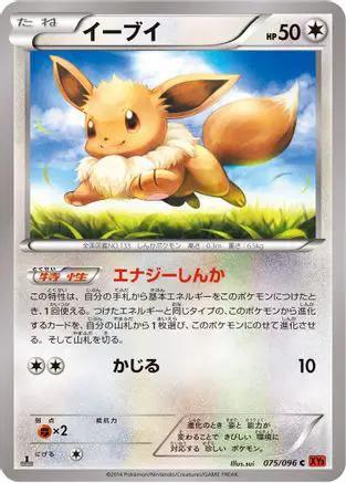 Eevee (075/096) - XY3 Rising Fist Unlimited