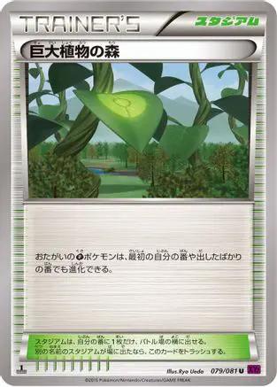 Forest of Giant Plants (079/081) - XY7 Bandit Ring 1st Edition