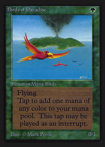Birds of Paradise (CED-) - Collectors' Edition