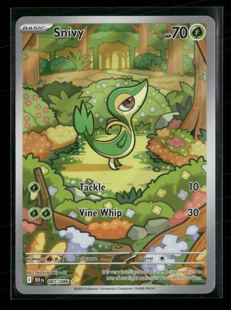 SV: Black Bolt Snivy #087/086