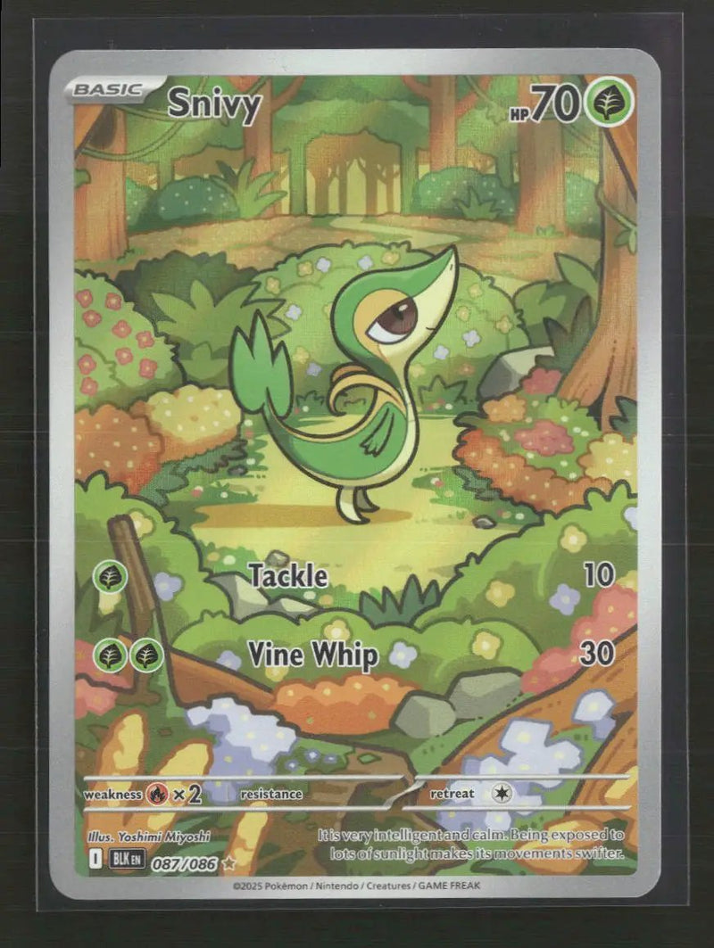 SV: Black Bolt Snivy #087/086