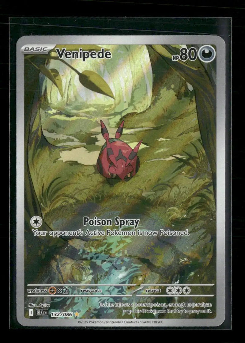 SV: Black Bolt Venipede #132/086