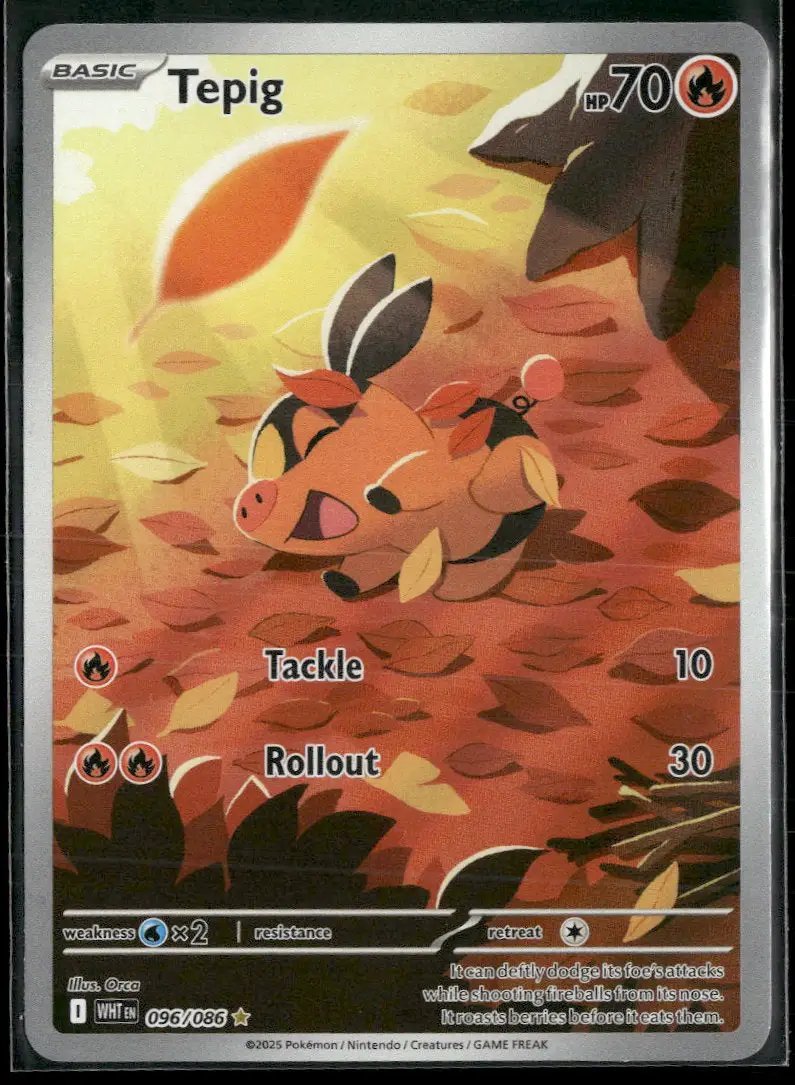 SV: White Flare Tepig #096/086