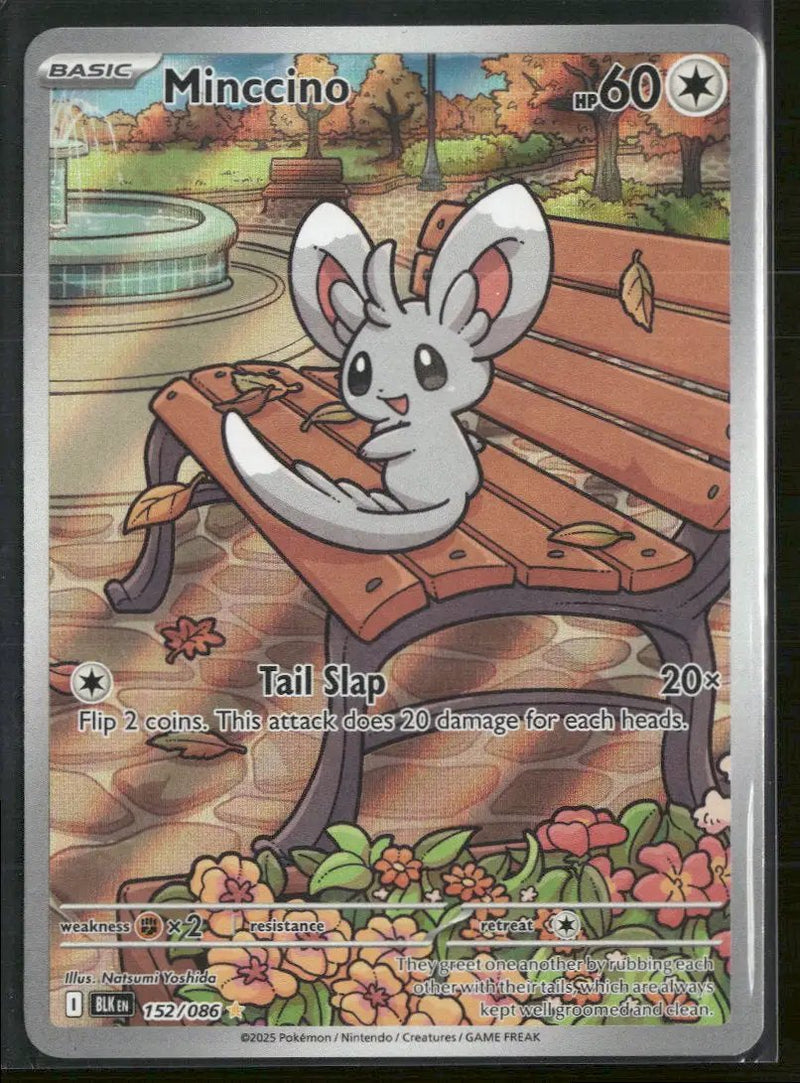 SV: Black Bolt Minccino #152/086