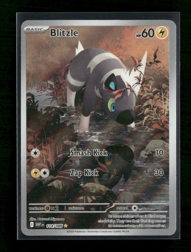 SV: White Flare Blitzle #114/086