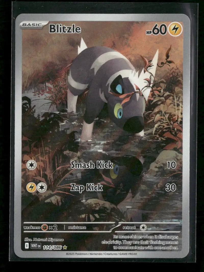 SV: White Flare Blitzle #114/086