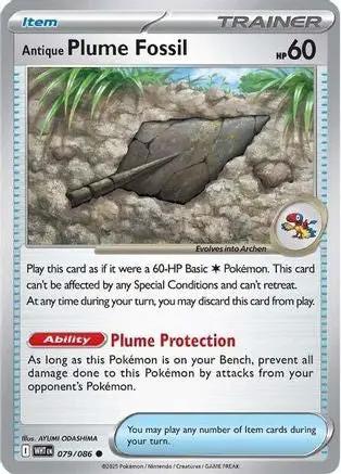 Antique Plume Fossil 079 - SV White Flare