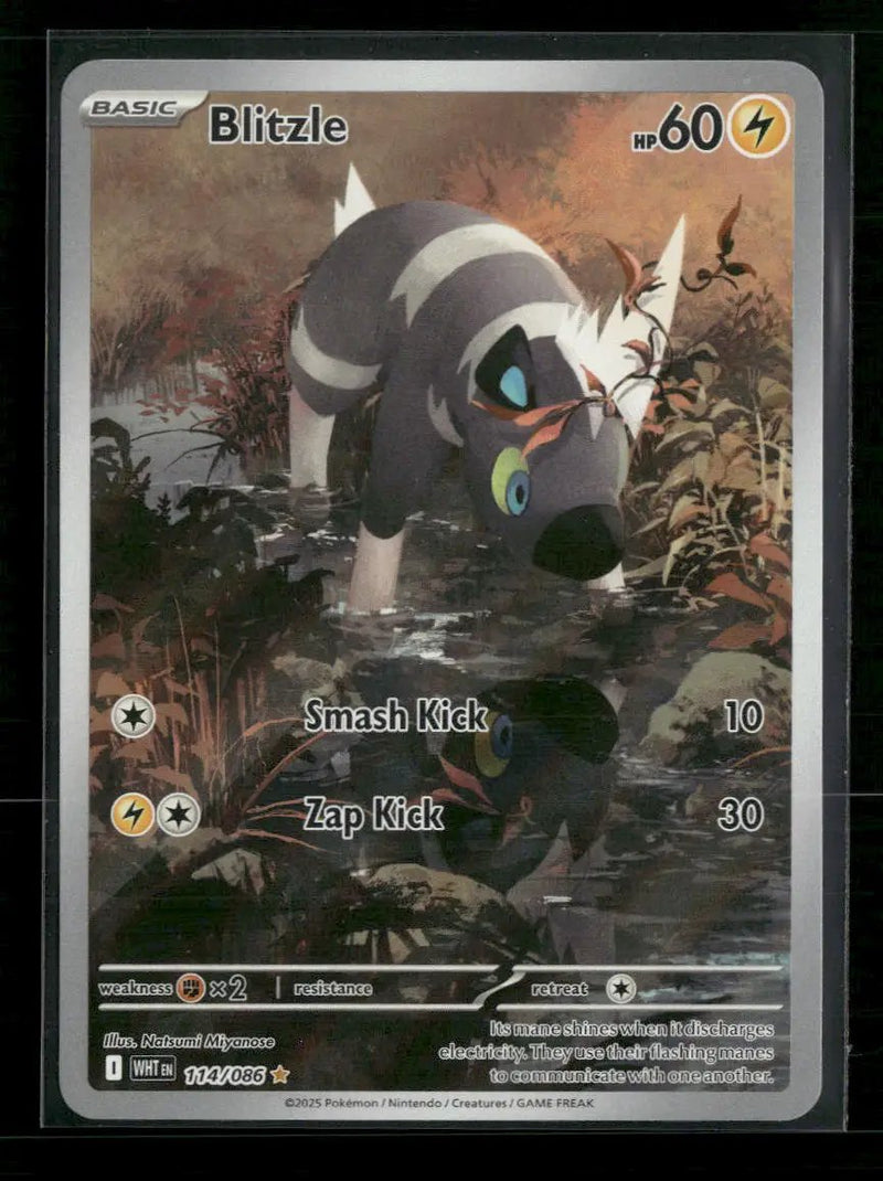SV: White Flare Blitzle #114/086