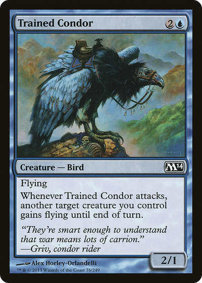 Trained Condor (M14-076) - Magic 2014
