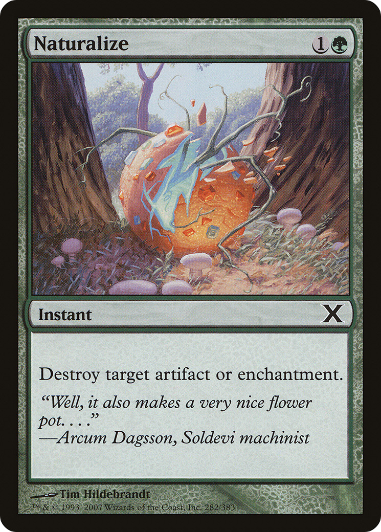 Naturalize (10E-282) - Tenth Edition