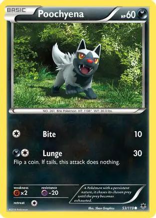 Poochyena 053/119 - XY  Phantom Forces Reverse Holofoil