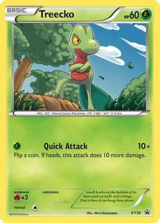 Treecko XY36/211 - XY Promos Holofoil