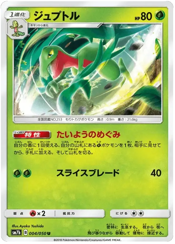 Grovyle (004/050) [Fairy Rise] Reverse Holofoil
