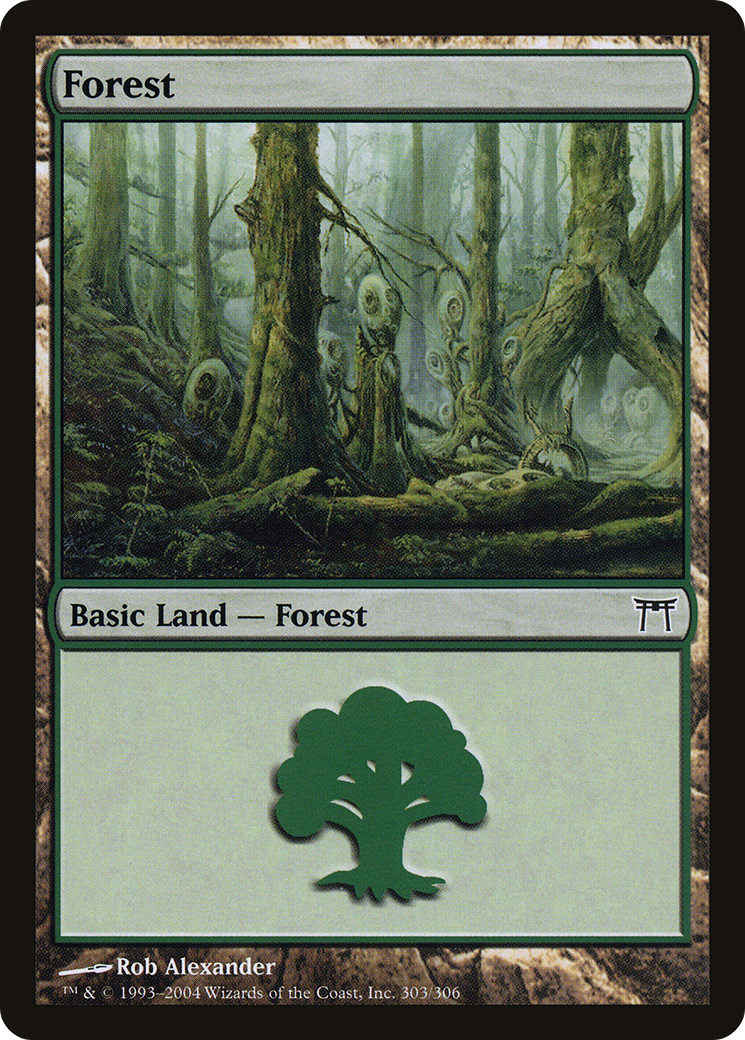 Forest (CHK-303) - Champions of Kamigawa Foil