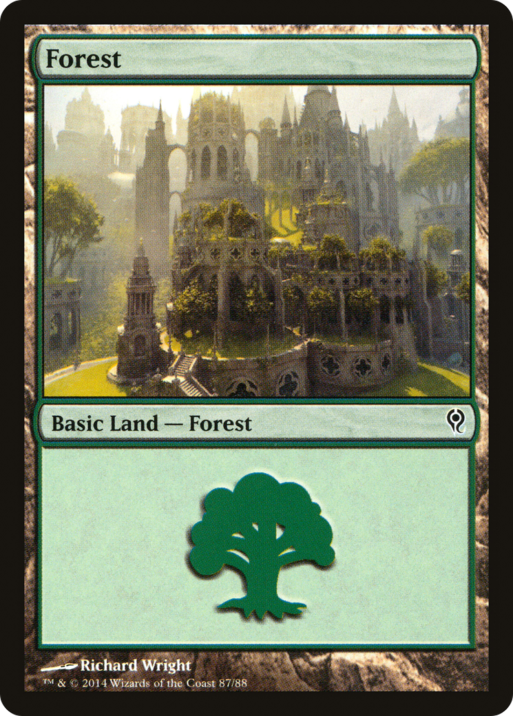 Forest (DDM-087) - Duel Decks: Jace vs. Vraska