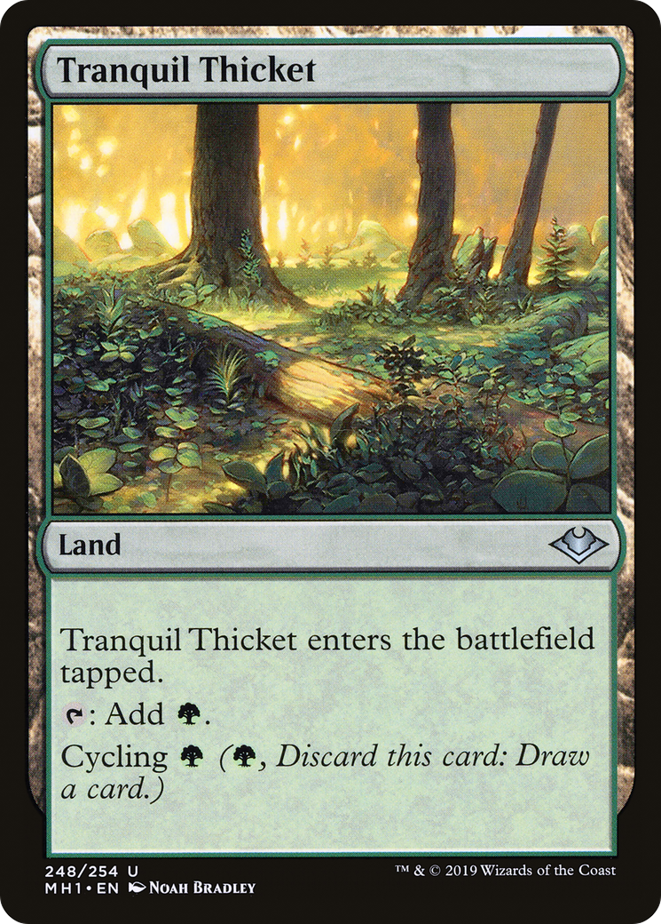 Tranquil Thicket (MH1-248) - Modern Horizons Foil