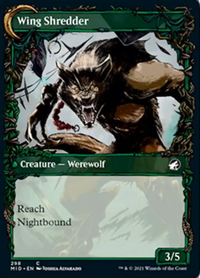 Bird Admirer // Wing Shredder (MID-298) - Innistrad: Midnight Hunt: (Showcase, Double Faced Transform) Foil