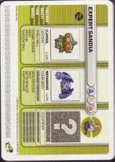 Pokémon Battle-e - Iron Defense Expert Sandia