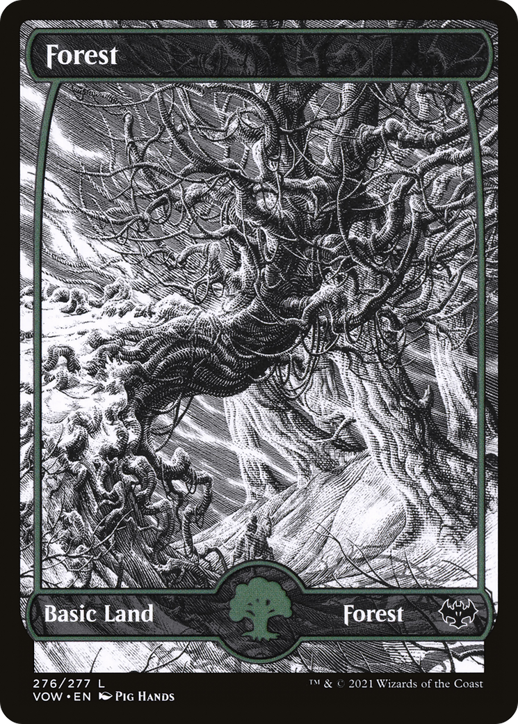 Forest (VOW-276) - Innistrad: Crimson Vow: (Showcase) Foil