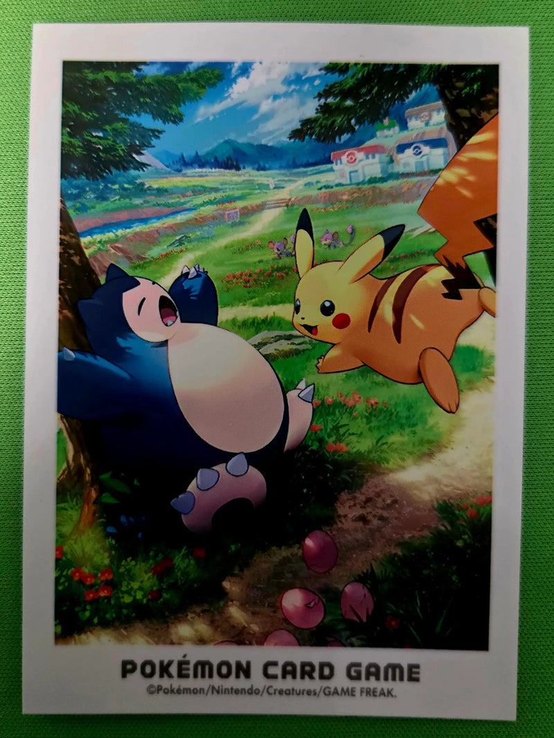 Pokémon Card Sleeve (Single Sleeve)